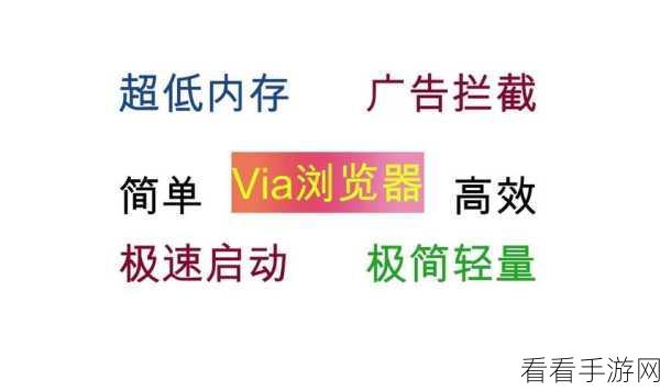 轻松搞定！Via 浏览器数据导入秘籍大公开