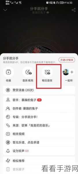 网易云音乐电脑版，打造酷炫歌词动效秘籍