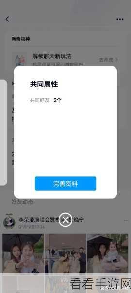 轻松掌握！QQ 共同好友查看秘籍大公开