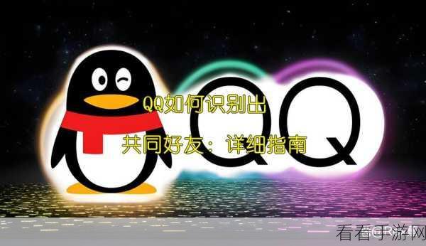 轻松掌握！QQ 共同好友查看秘籍大公开