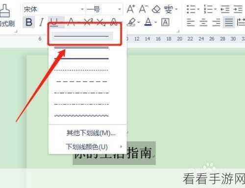 WPS Word 文字后添加下横线秘籍大公开