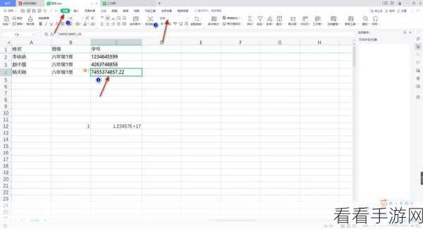 轻松掌握！Excel 数字转度分秒秘籍 - WPS Excel 独特设置法