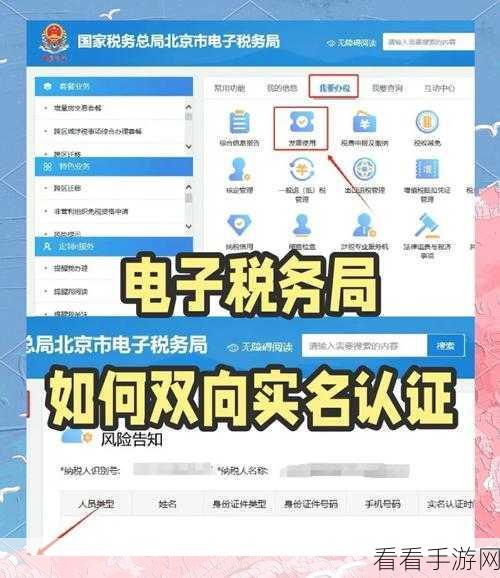 电子税务局登录难题全解析，登录不上与密码查询秘籍