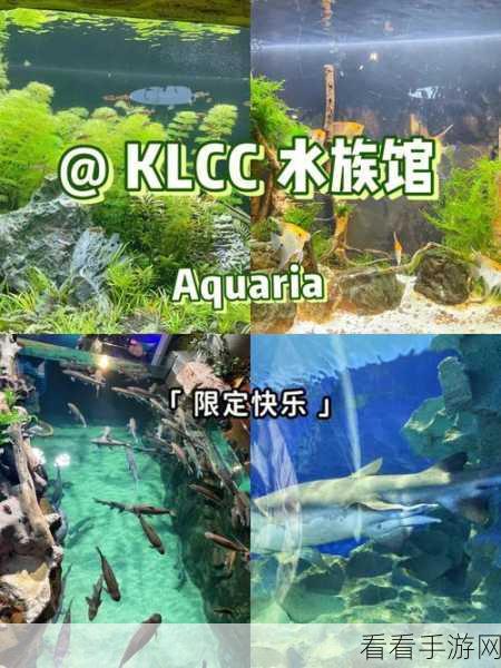 奇趣养鱼大赛，模拟经营新体验，打造你的梦幻水族馆