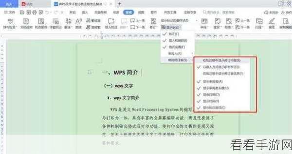 轻松解决 WPS Word 批注不显示难题，方法全在这！