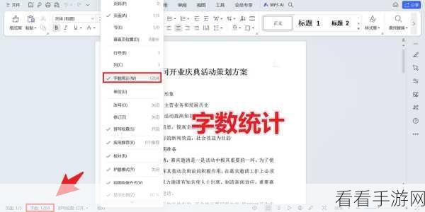 轻松搞定！WPS 文档纯字数查看秘籍