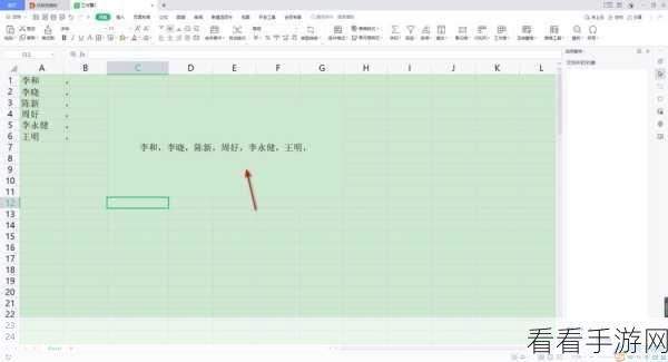 WPS Excel 合并同类数据秘籍，快速实现的神奇方法