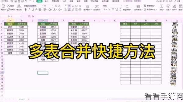 WPS Excel 合并同类数据秘籍，快速实现的神奇方法