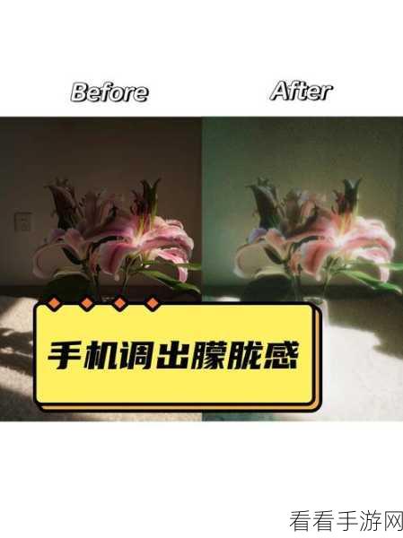 苹果手机拍照秘籍，轻松调出半圆形模式