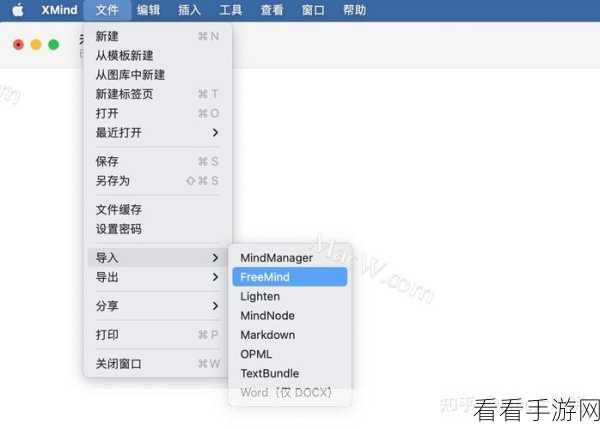 轻松掌握！XMind 导入 Word 文档的秘籍大公开