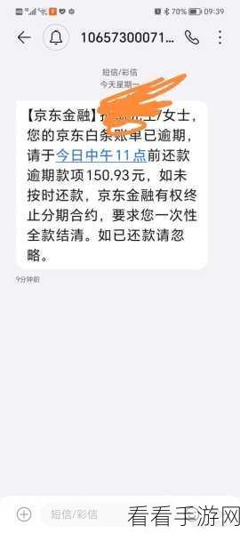 深度解析，京东白条逾期的后果你知道吗？