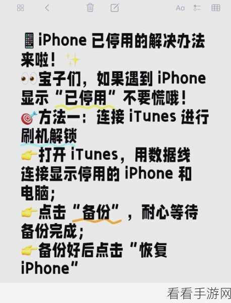 解锁有锁 iPhone 的终极秘籍——无卡黑解指南