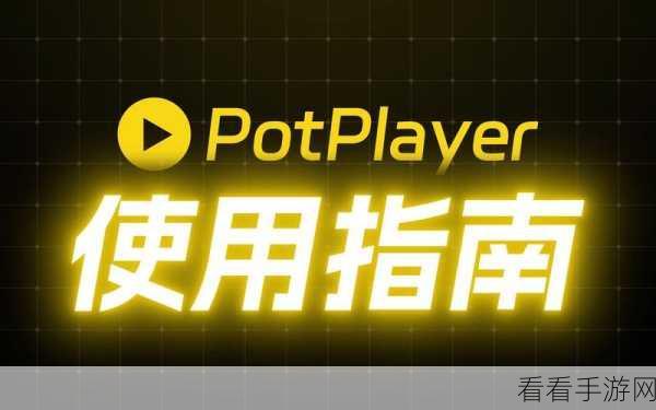 轻松搞定 PotPlayer 编解码类型关闭技巧