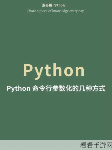 Python 命令行探秘,轻松查看系统信息秘籍