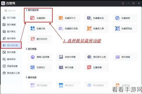 WPS 中 PPT 图片裁剪秘籍，轻松掌握裁剪技巧