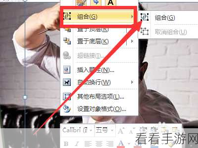 电脑版 WPS 文档图片重叠技巧大揭秘