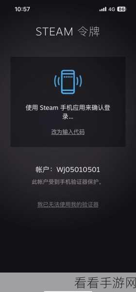Steam 手机版图片加载难题全解析