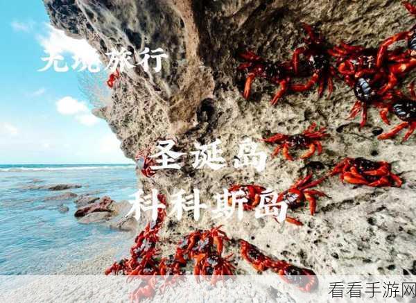 贝比岛官方版上线,探索奇妙岛屿,畅享休闲益智之旅
