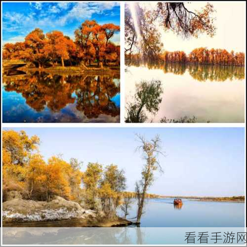 刀锋大师单机版震撼上线,挑战极限,畅享休闲竞技新体验