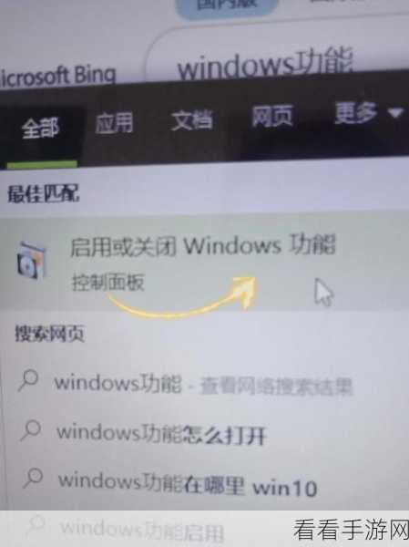 轻松掌握！360 安全浏览器老板键开启秘籍