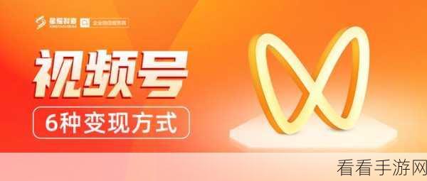 掌握视频号流量变现秘籍，开启财富之门
