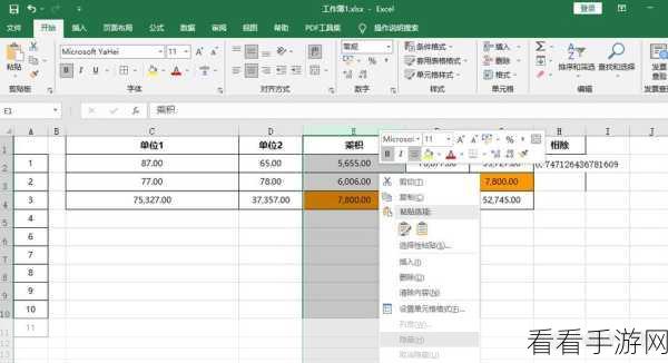 WPS Excel 表格隐藏部分内容秘籍大公开