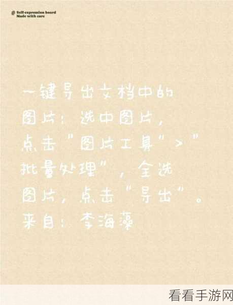 轻松搞定！Word 图片导出秘籍大公开