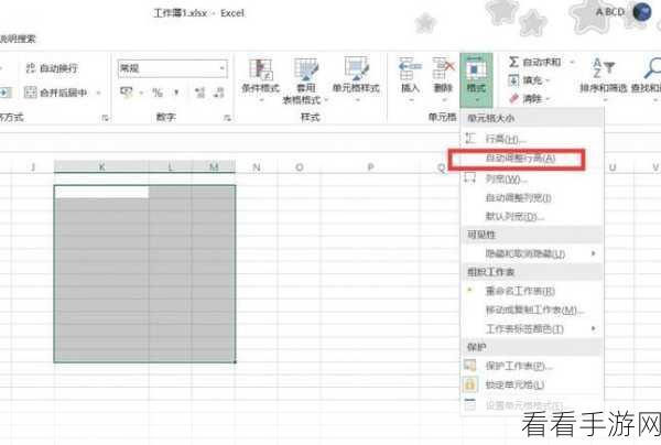 轻松搞定 WPS Excel 行高列宽调整秘籍