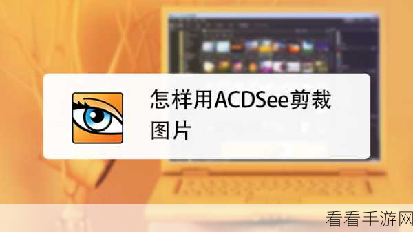 ACDsee 轻松掌控图片明暗度的秘诀