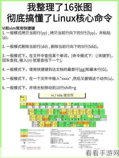 掌握 chmod Linux 命令的高效秘诀