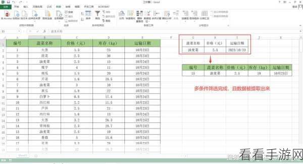 掌握 WPS Excel 数据透视表筛选技巧，轻松玩转表格