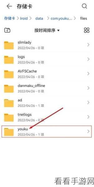 轻松搞定!手机优酷视频转 MP4 格式秘籍