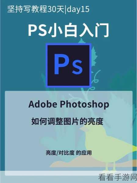 PS 抠图大小调整秘籍，Adobe Photoshop 实用教程