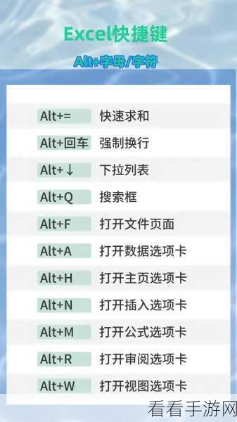 轻松掌握！Excel 调出开发工具的秘籍