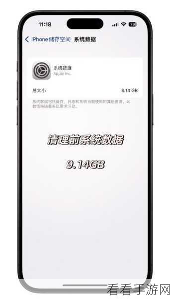 探索，Nohup 命令下 Python 进程内存使用查看秘籍