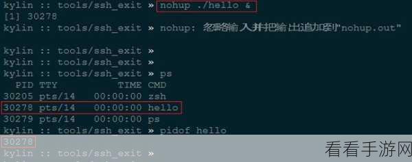 探索，Nohup 命令下 Python 进程内存使用查看秘籍