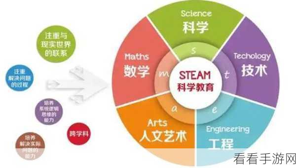 探索 Rust 语言与 Go 语言的学习奥秘