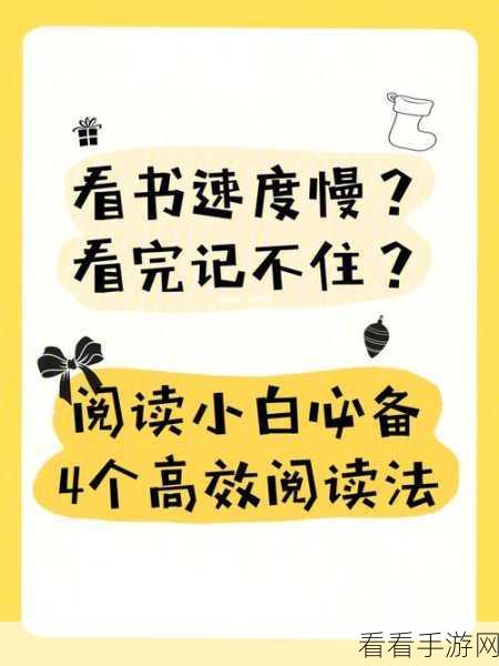 探秘 Spark Asse 的高效使用秘籍