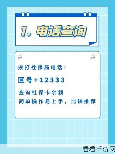 轻松掌握!社保卡余额查询秘籍大公开