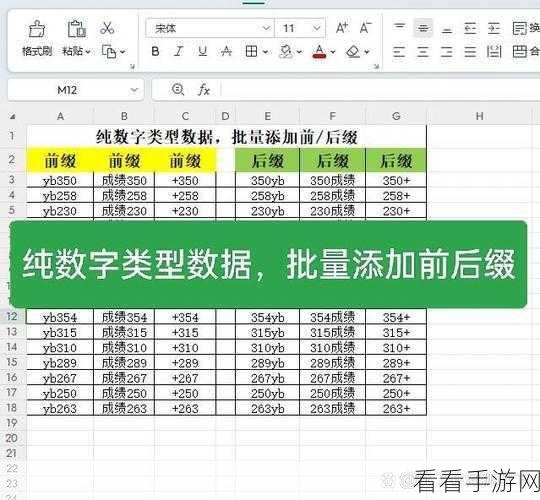 WPS 表格中数字与性别的神奇转换秘籍