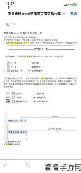 轻松搞定！Word 查找带颜色文字的秘籍教程