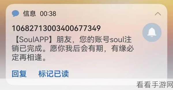Soul 账号注销秘籍大公开