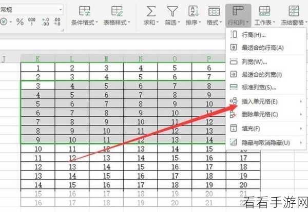 WPS 表格隔 10 行删一行秘籍，轻松搞定的高效方法