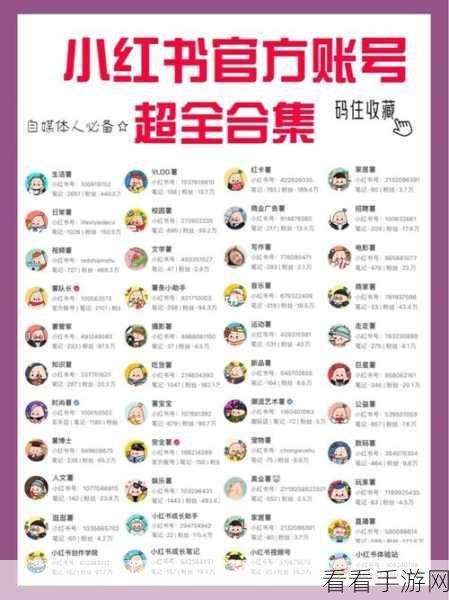 轻松搞定！小红书手机号与第三方账号解绑秘籍