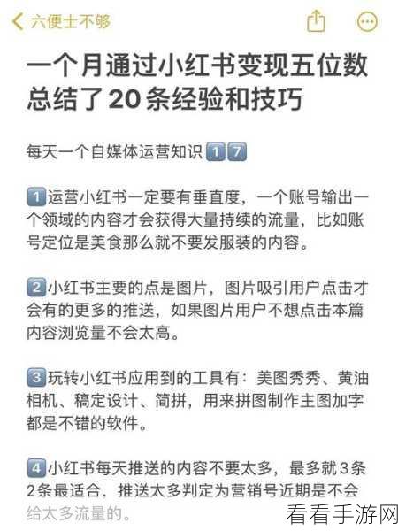 小红书涨粉秘籍，快速提升粉丝量与小眼睛的独家攻略