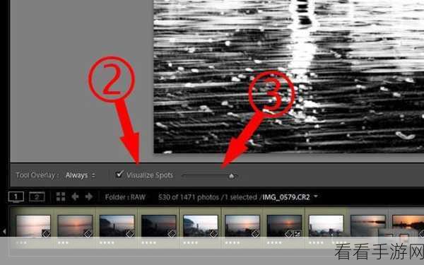 轻松掌握 Lightroom 污点去除秘籍