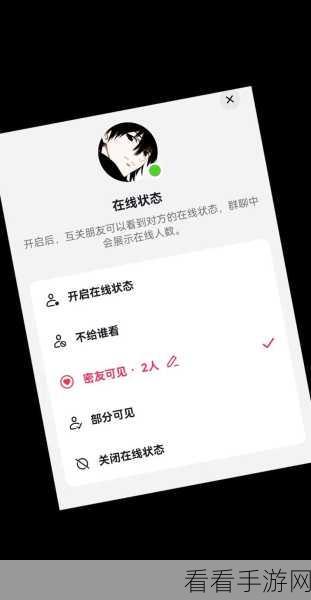 抖音隐身秘籍,让你消失在线,又能知晓对方状态