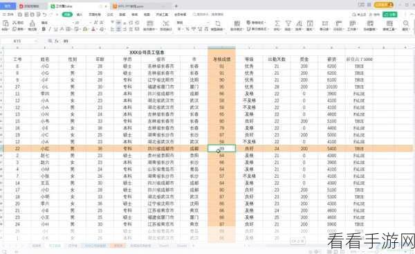 轻松搞定！WPS Excel 表格图表边框取消秘籍