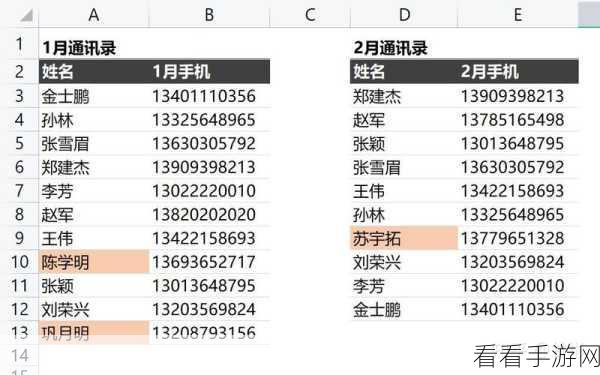 电脑版 WPS 表格，轻松区分相同数据的秘诀