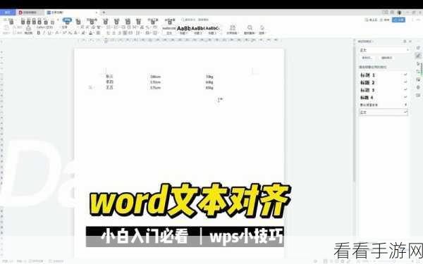 WPS Word 文档格式变身新样式集秘籍